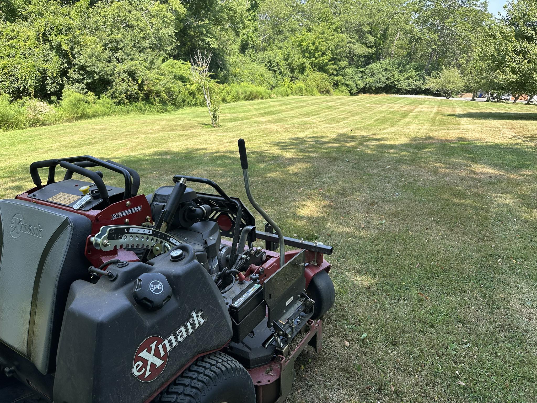 Lawn care work example 3